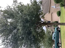 CF468B96-62CF-4E9B-A539-6B44AD07A3E0.webp CF468B96-62CF-4E9B-A539-6B44AD07A3E0.webp