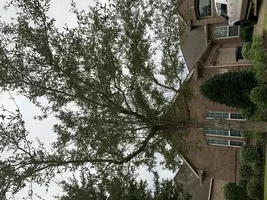 EA88216C-70EC-47BD-BC52-409C537B4671.webp EA88216C-70EC-47BD-BC52-409C537B4671.webp