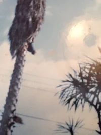 image.webp image.webp