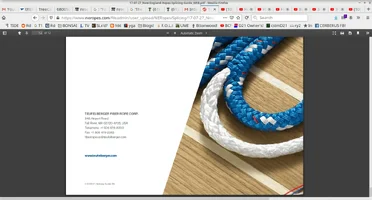 NEropes using TFLBRGR's template for their splice tutorial LOL didn't remove TFLBRGR's info f...webp
