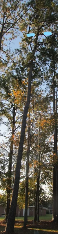 IMG_3265 (2)_LI.webp