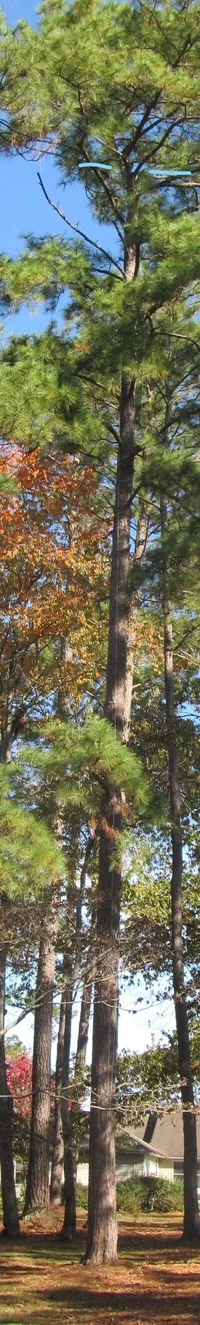 IMG_3273_LI (2).webp