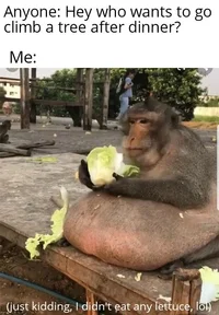 ZomboMeme 28112019170937.webp