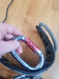 2019-12-11 14.55.00.webp