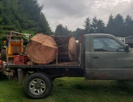 20191228_065505.webp 20191228_065505.webp