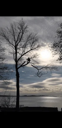 Screenshot_20191217-175743.webp Screenshot_20191217-175743.webp