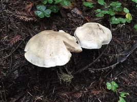 IMG_1880.webp IMG_1880.webp