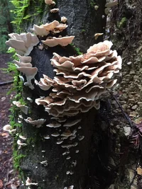 IMG_1884.webp IMG_1884.webp