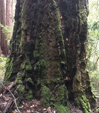 IMG_1903.webp IMG_1903.webp