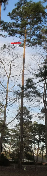 IMG_3381 (2)_LI.webp