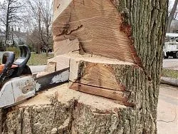 short bar bisect.jpg