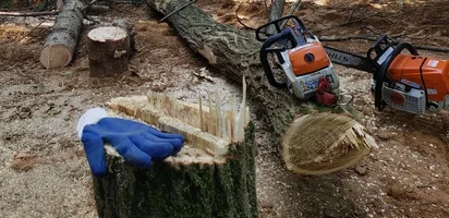 swing dutch locust reverse clsoe up.jpg