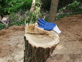 tapered hinge small locst.webp