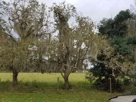 20191112_164031 (1).webp