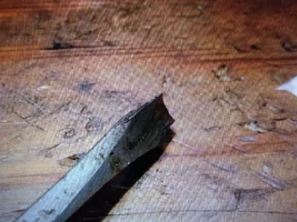 IMG_3171.webp IMG_3171.webp