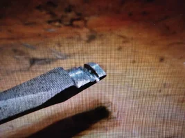 IMG_3170.webp IMG_3170.webp