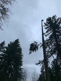 IMG_1472.webp IMG_1472.webp