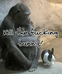gorilla-bunny.webp