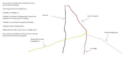 broken hung tree.png