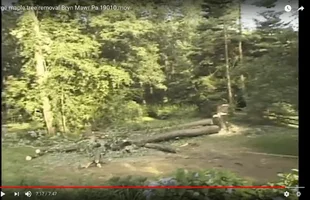 Screen Shot 2020-03-26 at 6.05.02 AM.png