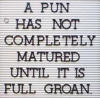 mature-pun.webp