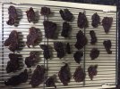 201011  Pork Jerky - Done -IMG_0495 (002).JPG