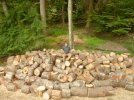 00 wood pile 01.jpg