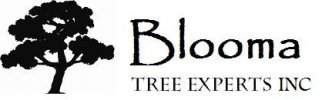 logo inc.jpg