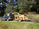 Truck & Chipper Catching.jpg