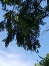 20210603_132021.jpg