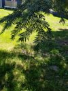 20210603_132119.jpg
