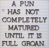 mature-pun.jpg