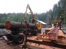 0 sawmill 01.jpg