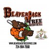 BeaverJack Accreditation Logo.jpg