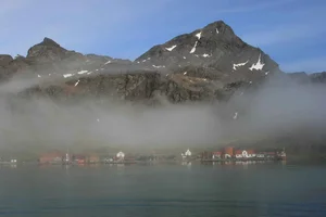 76084-Grytviken.webp