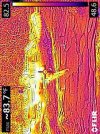 FLIR0036.jpg