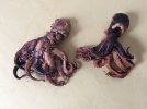 220403 Octopus cooked -IMG_0828.JPG