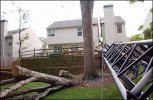 Tree thru house.JPG
