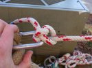 knots_StopperNooseHitch-ML-1.jpg