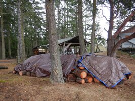 DSCN7204 (Custom).JPG