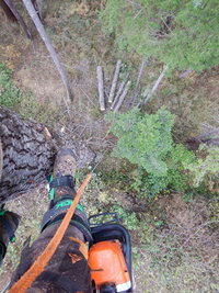 000 new spurs 02.jpg