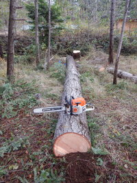 000 new spurs 04.jpg