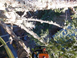 000 endweight 01.jpg