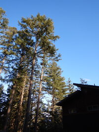 000 endweight 03.jpg