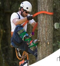 Screenshot_20221206-135325_Samsung Internet.jpg