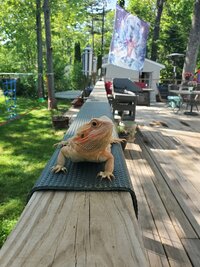 20220530_155104.jpg 20220530_155104.jpg