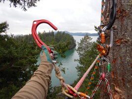 0 mo speedline 02.jpg