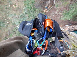 0 mo speedline 03.jpg