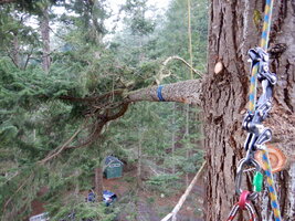 0 mo speedline 04.jpg