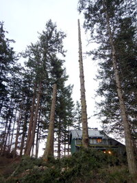 0 mo speedline 06.jpg